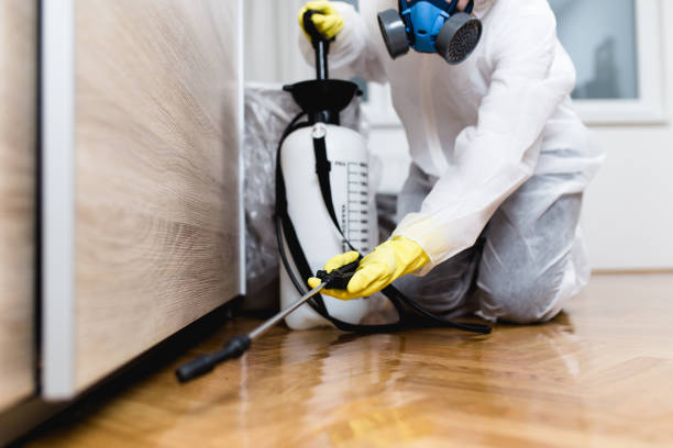 Best Commercial Pest Control Services  in Emmett, ID