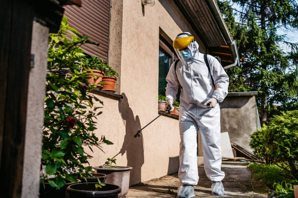 Best Best Pest Control Companies  in Emmett, ID
