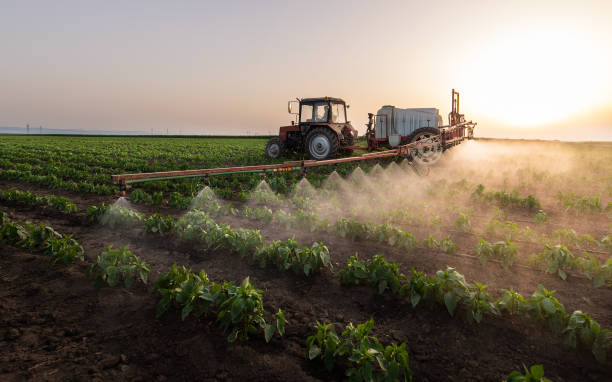 Best Pest Removal Services  in Emmett, ID