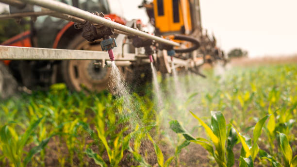 Best Best Pest Control Companies  in Emmett, ID